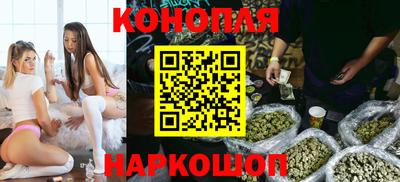 крисы Лесосибирск