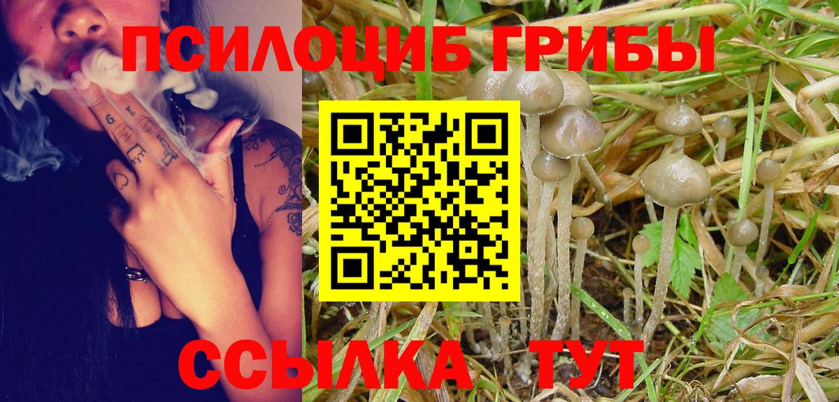 Псилоцибиновые грибы мухоморы Горно-Алтайск